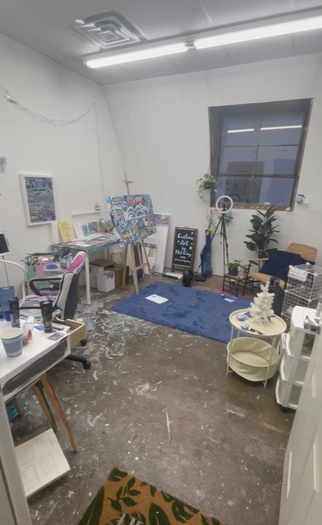 Room with cluttered desk, chairs, a blue rug, window, and various objects including plants and storage containers.