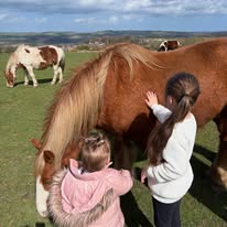 Two children pet a brown horse in a grassy field with cows in the background under a partly cloudy sky.