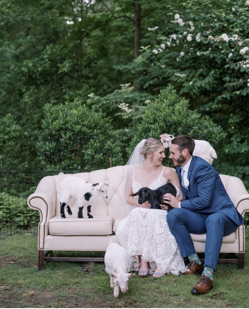 A couple seated on a pale sofa outdoors with two dogs, surrounded by greenery and flowering bushes.
